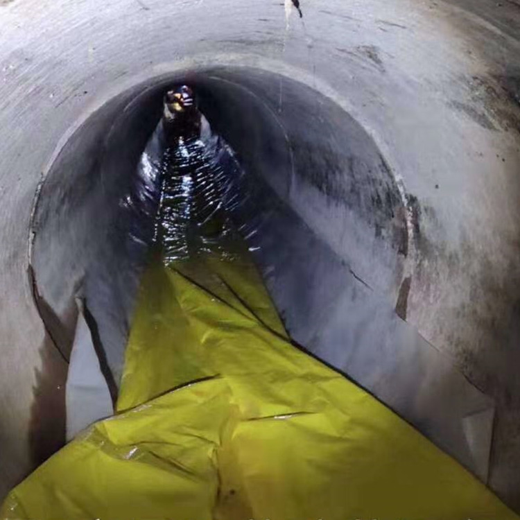 丹徒管道光固化修复